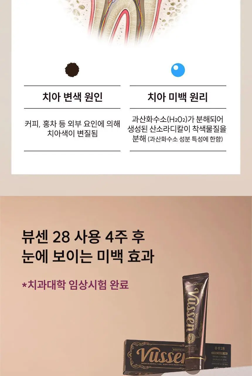 [대용량] 뷰센C 충치치약, 뷰센O 구취치약, 뷰센28 미백제 4개입 상세페이지 47